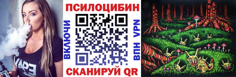 Псилоцибиновые грибы Psilocybine cubensis  Купить  Малоархангельск 